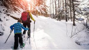 The Best Places to Snowshoe